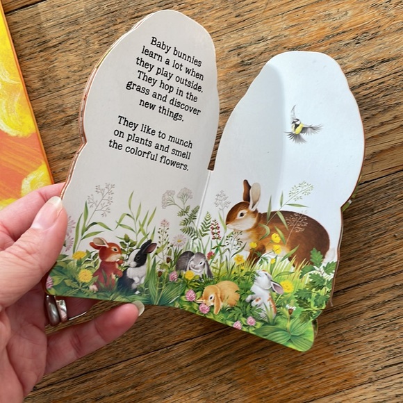 Elecopter and Bunny book - Picture 4 of 5